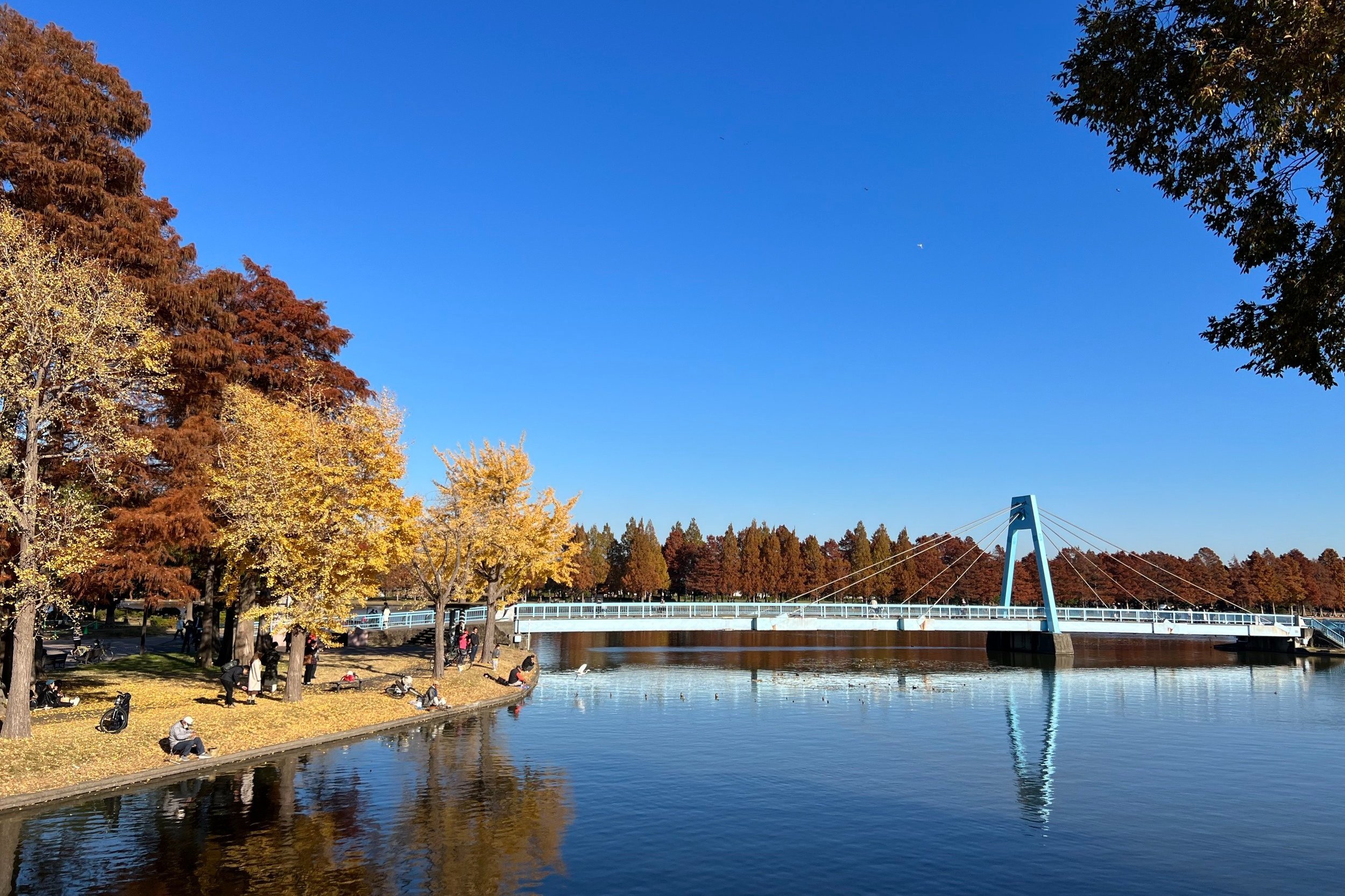 🏞️ 물바다 공원 (미즈우미 코엔) 이미지 5